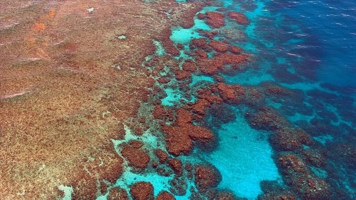 Avustralya, Büyük Set Resifi düşüncesince UNESCO'nun önerilmiş olduğu 