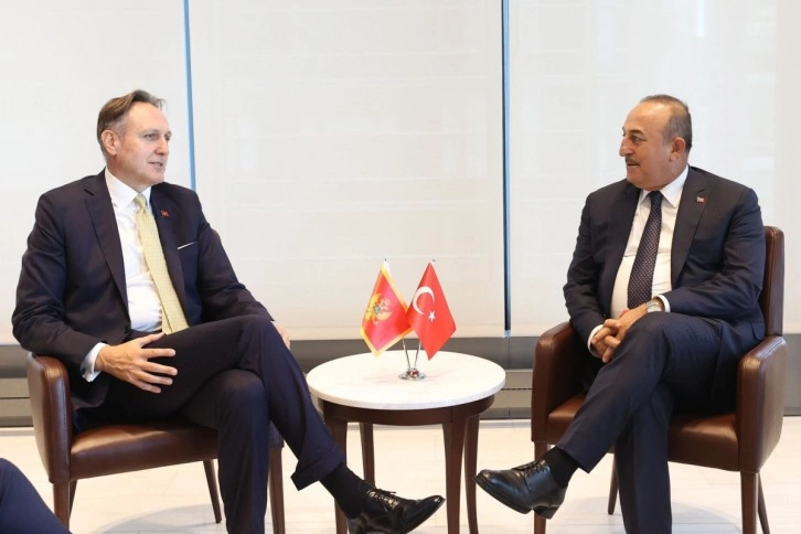 Dışişleri Bakanı Çavuşoğlu, Karadağlı mevkidaşı Krivokapic ile görüştü