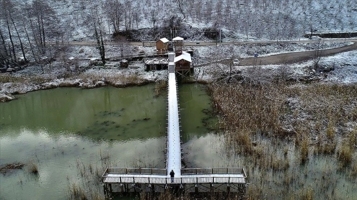 Efteni Gölü Kuş Cenneti'nde kar manzarası açıktan görüntülendi
