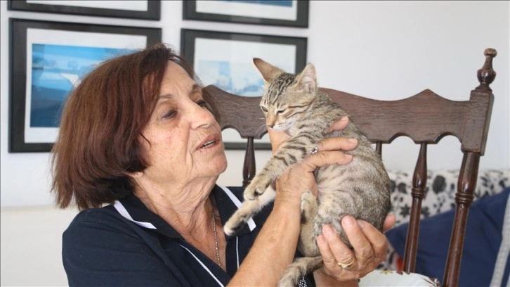 Eşinin ölümünden sonradan evine almış olduğu 15 kediye "anne şefkatiyle" bakıyor