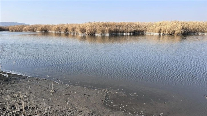 Iğdır'daki Karasu sulak dalında su düzeyi düştü