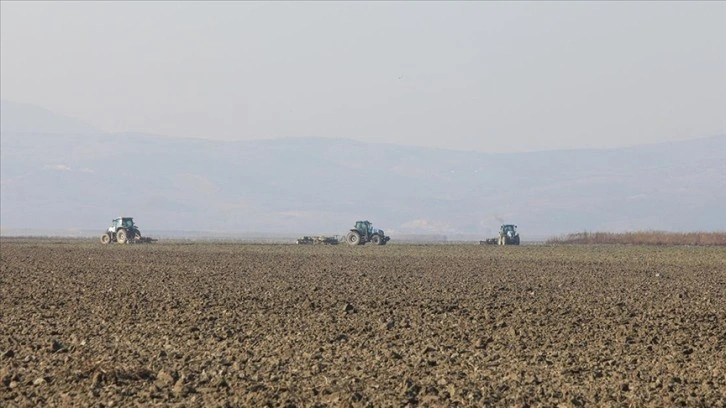 Kuruyan Marmara Gölü'nün 35 bin dekarlık bölümünde tarım başladı