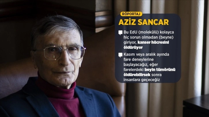 Nobel ödüllü Prof. Dr. Sancar, akıl kanseri çalışmasını AA'ya anlattı