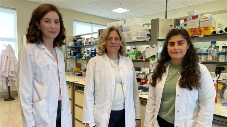 'Ölümcül beyin tümörü hücreleri'nin çoğalmasını karışma projesine Avrupa'dan destek