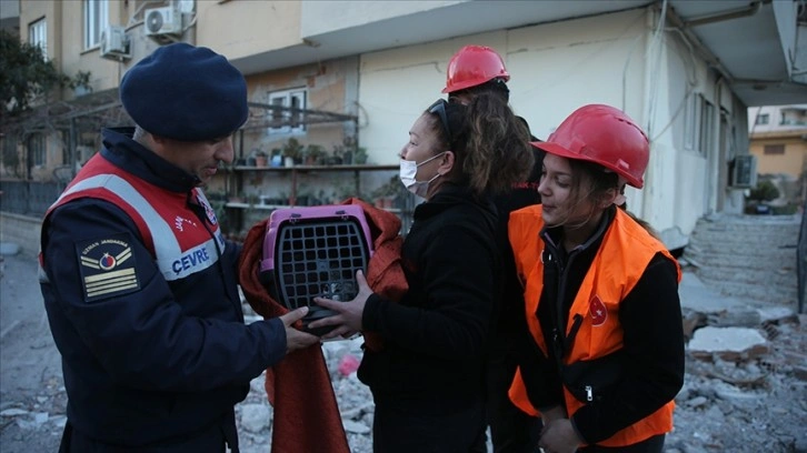 Osmaniye'de depremin 8'inci gününde hasar gören apartmanda muhat küsurat pisik kurtarıldı