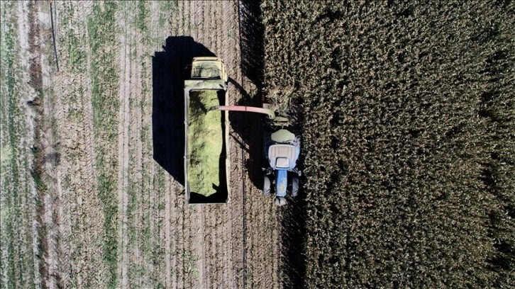 Rusya-Ukrayna savaşı tarıma 'pozitif ayrımcılık' adımlarını hızlandırdı