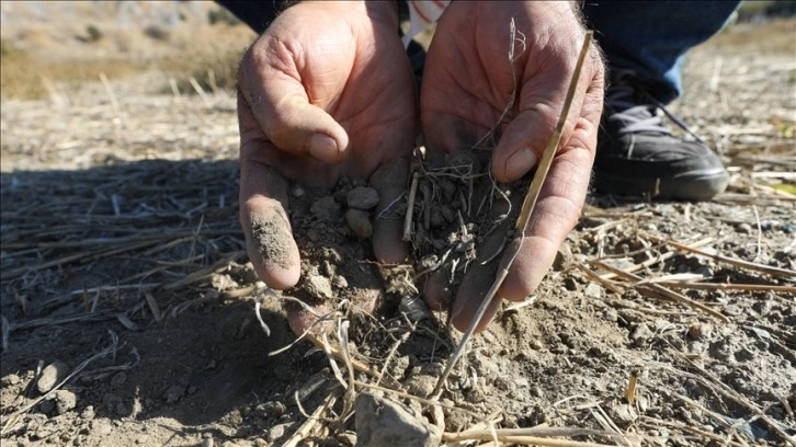 Sonbahar yağışlarının ehliyetli bulunmadığı Ege'de çiftçiler tohum ekimini erteledi