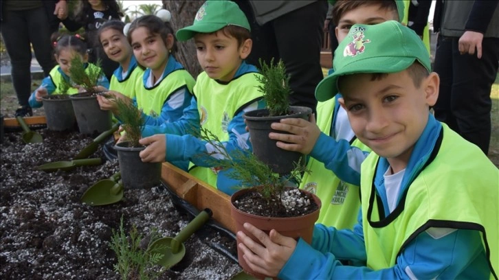 Trabzon'da öğrenciler orman ekosistemini mektebinde öğreniyor