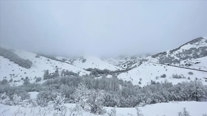Tunceli'nin Pülümür ilçesinde kar kalınlığı 15 santimetreye ulaştı