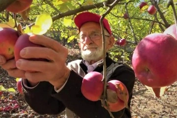 90 yaşına merdiven dayayan ‘elma kurdu’ Ahmet dedenin gözü Külliye'de