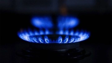 AB devletleri gaza uygulanacak tavan fiyatta anlaşamadı
