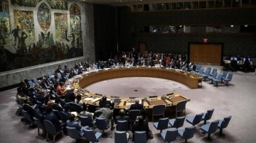 ABD, Ukrayna-Rusya krizini müzakere etmek gibi BM Güvenlik Konseyini toplantıya çağırdı