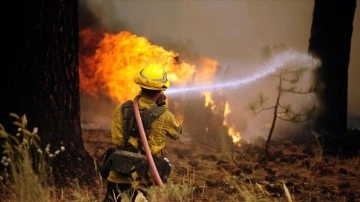 ABD'de yangınların vurmuş olduğu New Mexico eyaleti 'afet bölgesi' duyuru edildi