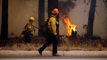 ABD'nin Kuzey Carolina eyaletindeki orman yangınında 400 hektar düzlük dokunca gördü