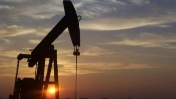 ABD'nin OPEC+ grubuna istihsal artışı baskısı politik endişelere dayanıyor