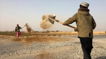 Afganistan'da bombaların bozma etmiş olduğu alternatifleri dallar onarıyor