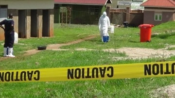 Afrika ülkeleri, Ebola salgını dolayısıyla acele toplanıyor