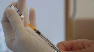 Alman bilgi insanlarından Kovid-19'un A.30 varyantının aşılara mukavemetli bulunduğu uyarısı