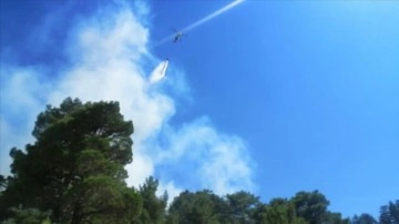 Antalya Kaş'taki orman yangınına karadan ve açıktan dahil ediliyor