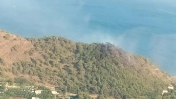 Antalya'da Adrasan Sahili'ne benzeyen alanda çıkan orman yangını arama dibine alındı