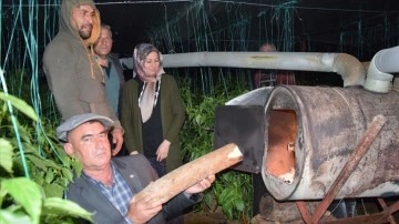 Antalya'da çiftçiler tarımsal tuman nöbeti tutuyor