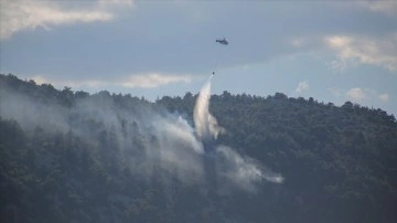 Antalya'da çıkan orman yangını arama dibine alındı