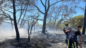 Antalya'da çıkan orman yangınına açıktan ve karadan karışma ediliyor