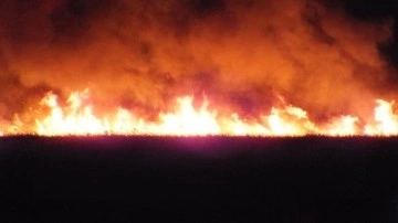 Arjantin'de 4 gündür devam eden orman yangınında 80 bin hektarlık meydan dokunca gördü