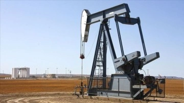Avrupa'nın Rus petrolüne çelimsiz müddette seçenek bulmasının çetin olabileceği öngörülüyor