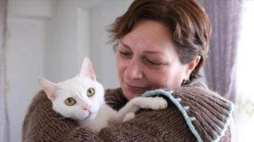 Azerbaycanlı hayvansever evinin kapısını iyesiz kedilere açtı