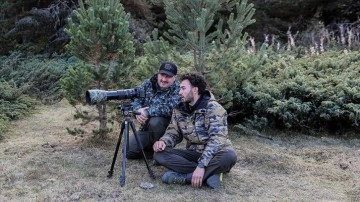 Bakan Varank yabani yaşam fotoğrafçısı Doğanay Vural ile kızıl geyikleri gözlemledi