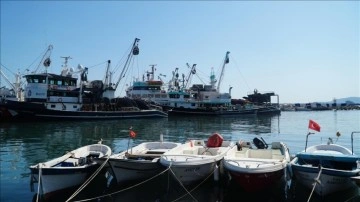 Bartın, Kastamonu ve Sinop'ta afetten dokunca gören balıkçılara terviç ödemesi yapılacak