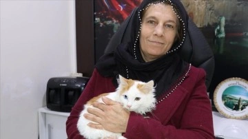 Batmanlı Fatma Türkkan mahallesinin beraberinde çıkmaz kedilerinin de 'muhtarlığını' yapıyor