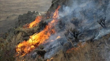 Bayburt'ta dağlık bölgede çıkan örtü yangınına engelleme ediliyor