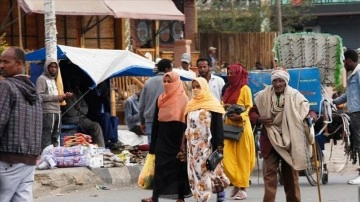 BM, Etiyopya'daki 'insan hakları ihlallerinin' soruşturulmasını benimseme etti