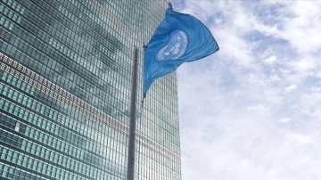 BM Güvenlik Konseyi Ukrayna'nın çağrısı için gine acil toplanıyor
