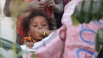 BM: Yemenliler, dikme yaprakları yiyerek yaşamda kalmaya çalışıyor