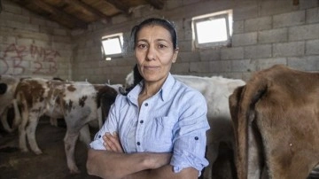 Çiftçiliğe 5 inekle başlamış olan Hüsniye Bulut mutluluk yardımı ile derinti sahibi oldu