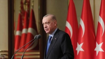 Cumhurbaşkanı Erdoğan: Çevreciliğin destanını bu ülkede tığ yazdık
