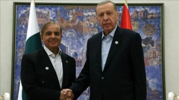 Cumhurbaşkanı Erdoğan, Pakistan Başbakanı Şerif ile birlikte araya geldi