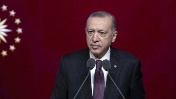 Cumhurbaşkanı Erdoğan'dan Sedef Kabaş ve Fırat Sakar'a tazminat davası davası