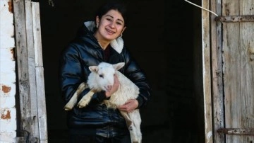 Devletten dayanaklık etmek düzlük dinç kadın hayvancılık düşüncesince köyüne döndü