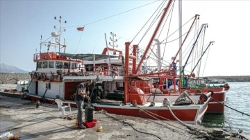 Doğu Akdeniz'de gökçe sularla buluşacak balıkçılar gündüz sayıyor