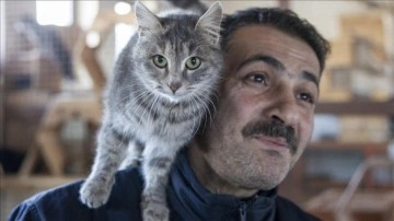 Dondurucu soğukların yaşandığı Erzurum'da iyesiz hayvanlara "sıcak yuva" imkanı