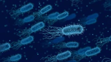DSÖ: İnsan bedeninde antibiyotiklere üzerine kalan bakteri direnci, ahiret yolculuğu riskini artırıyor