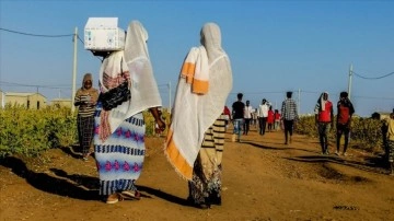Dünya Gıda Programı, Sudan'da tonlarca gıdanın yağmalanması için yardımları durdurdu