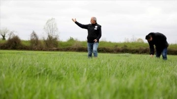 Efsane güreşçi Yaşar Doğu'nun lakabı "Koca Yaşar" yerli çim şekline verildi