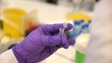 Ege Üniversitesinde geliştirilen Kovid-19 DNA aşısında insanoğlu deneyi evresine gelindi