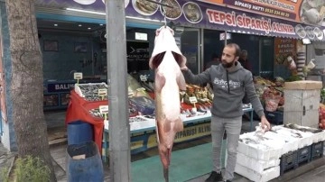 Elazığlı balıkçı 128 kilo ağırlığında turna balığı yakaladı