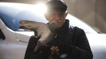 Elleriyle beslediği güvercinler 86 yaşındaki ayakkabı boyacısının en andıran arkadaşı oldu